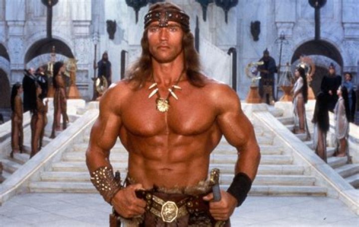 Arnold Schwarzenegger Wants An Old Man Conan Movie