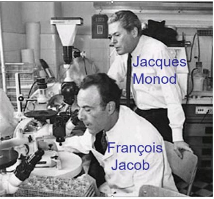 Famous French Microbiologists