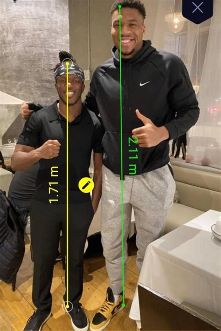 Male Celebrities Who Are 6 Feet 11 Inches (211 cm) Tall