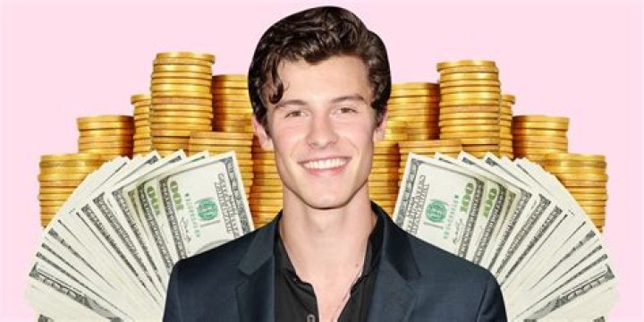 
How Much Money Does Shawn Mendes Make? Latest Income Salary
