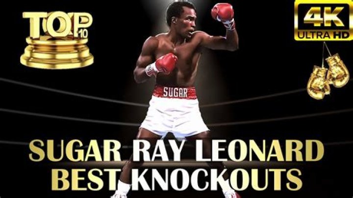 
How Much Money Does Sugar Ray Leonard Make? Latest Income Salary
