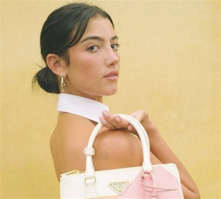 Influencer Charli D'Amelio Shares Swimsuit Photo of "Family Forever" — Celebwell