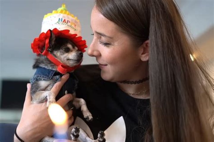 Is Marbles Dog Still Alive 2022? – Celebrity