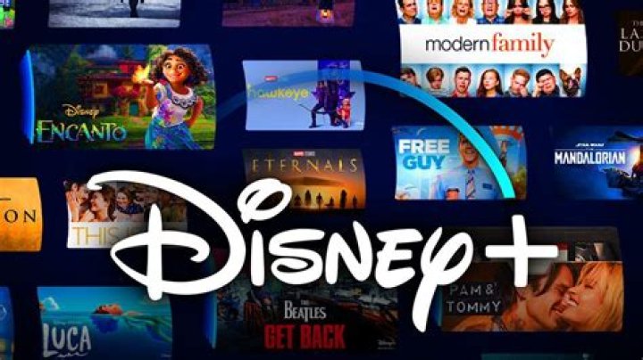 Is Thomasina on Disney plus? – Celebrity