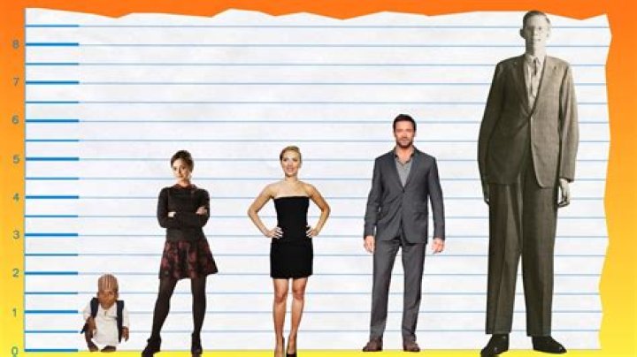 Jenna Coleman Body Measurements Height Weight Bra Size Vital Statistics