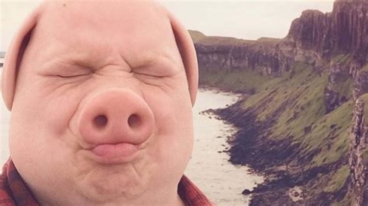 John Pork Real Identity Wiki, Age, TikTok, Meme & Instagram