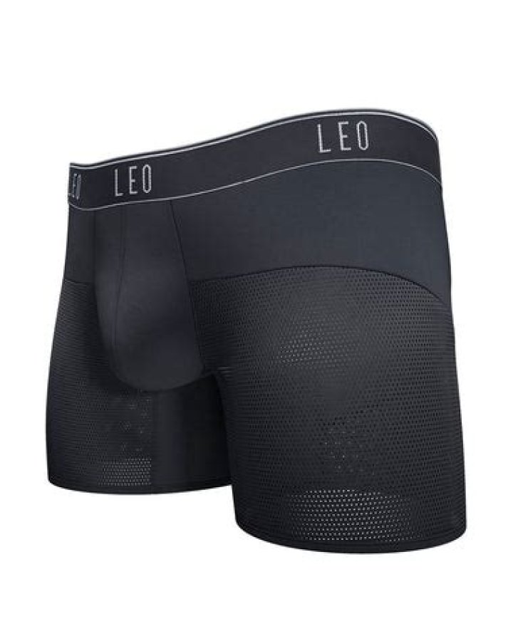 Famous Leo Boxers