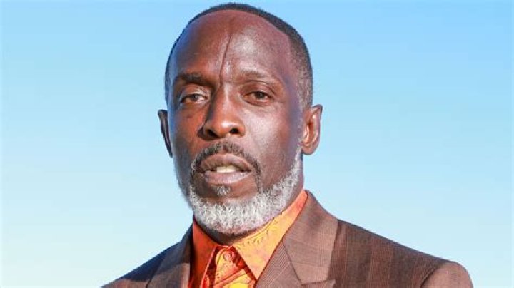 Michael K. Williams Biography - Facts, Childhood, Family Life & Achievements