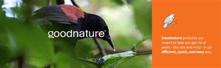 Molly Farber Obituary and Funeral, Goodnature Products Inc. Admin Office Assistant