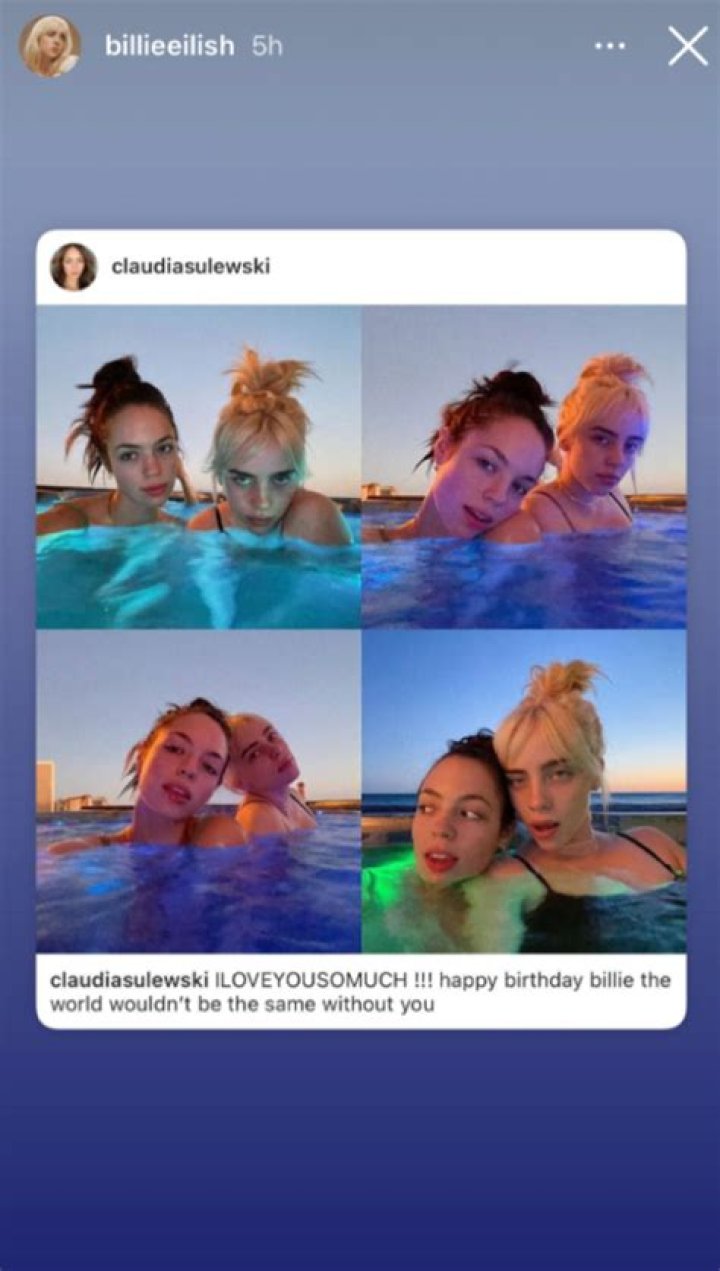 Billie Eilish in Bathing Suit Says Hi From Infinity Pool — Celebwell