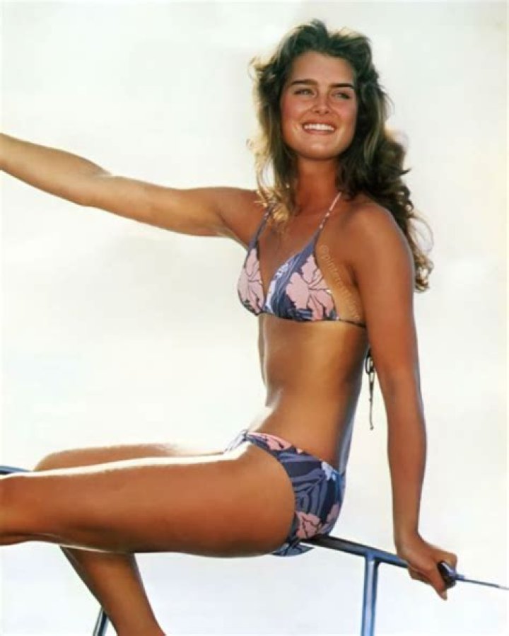 Brooke Shields in Bathing Suit Plunges Into Cold Pool — Celebwell