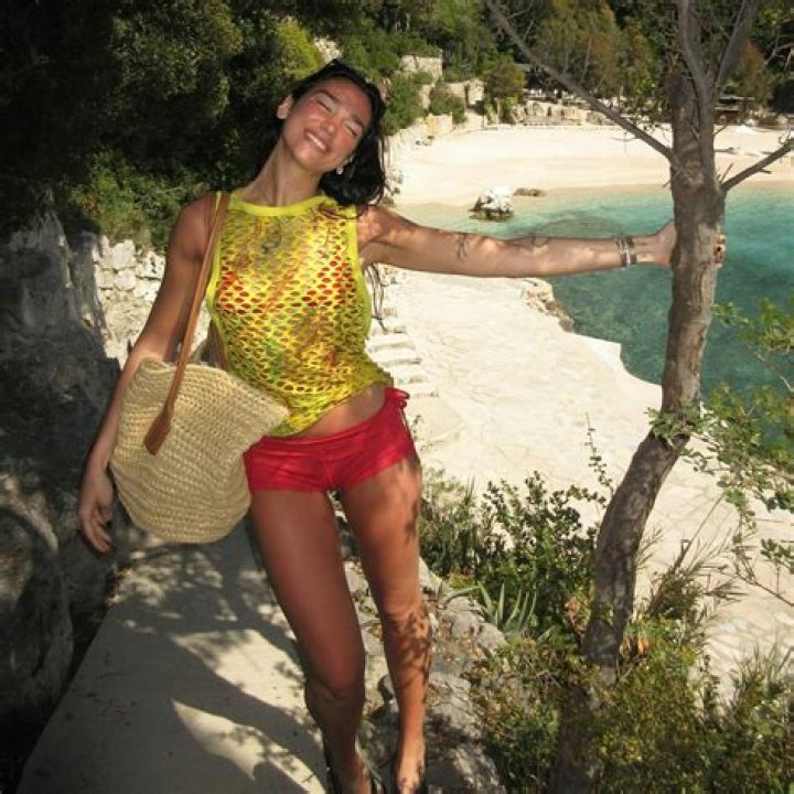 Dua Lipa Celebrates Fit Figure in Glam Bikini — Celebwell