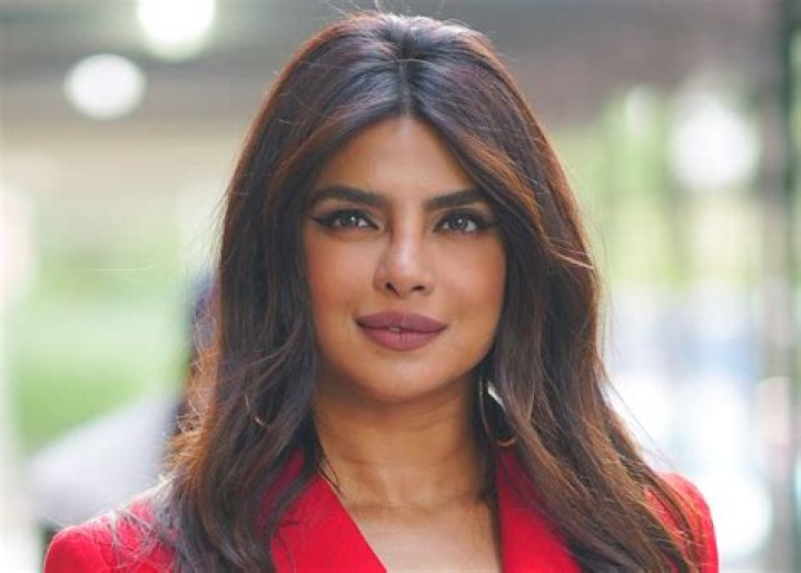 Priyanka Chopra in Bathing Suit is "Island Girl" With Nick Jonas — Celebwell