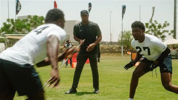 Osi Umenyiora Biography - Facts, Childhood, Family Life & Achievements