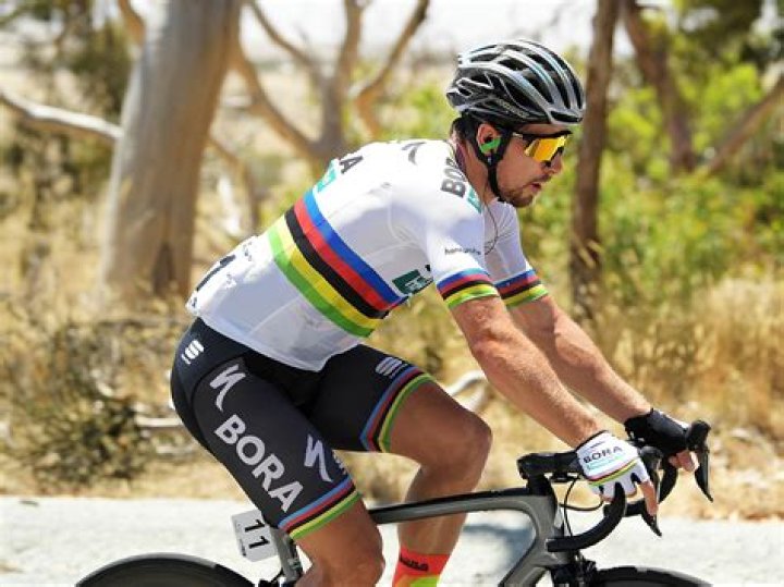 Peter Sagan Biography - Facts, Childhood, Family Life & Achievements