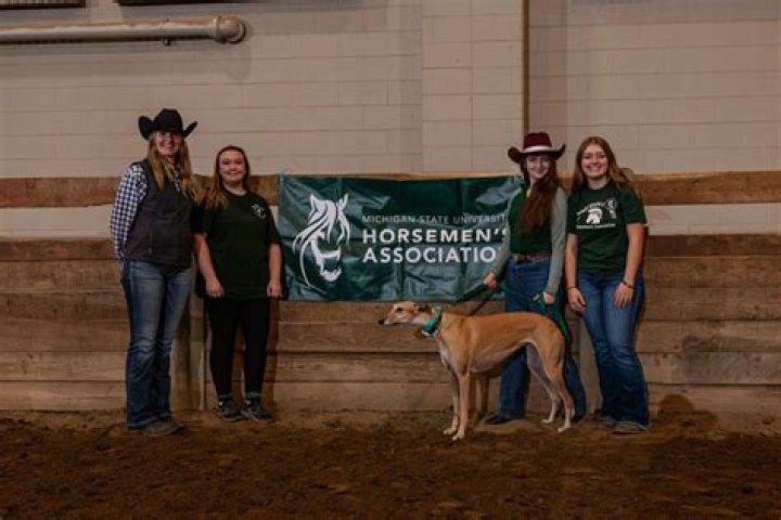 Reflect Phyllis Waxenberg Death, Obituary, Muttontown Horsemen’s Association