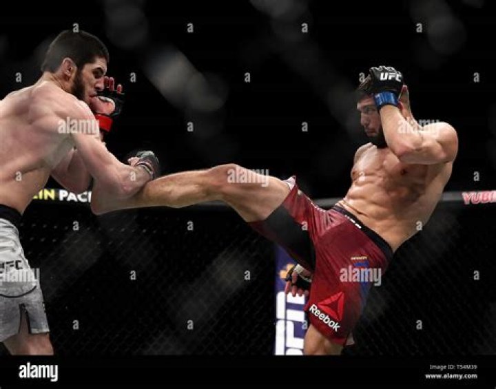 Famous Russian Mixed Martial Artists