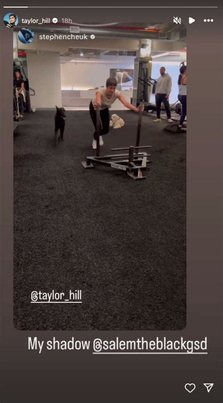 Taylor Hill in Workout Gear Pushes Sled With "My Shadow," Her Dog