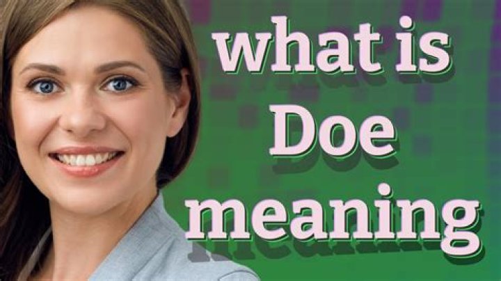 What Does Doe Doe Shannon Do For A Living? – Celebrity