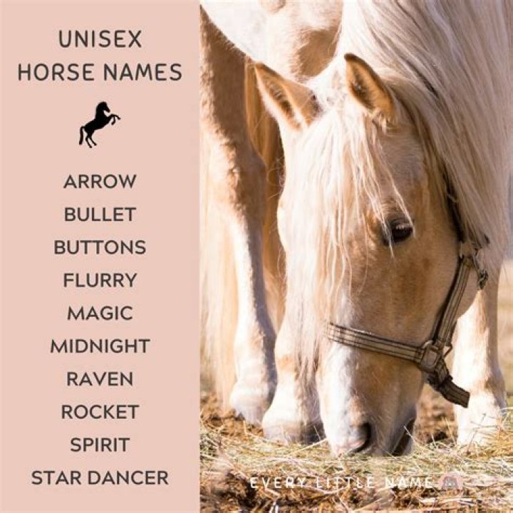 What is Elsa’s horse name? – Celebrity