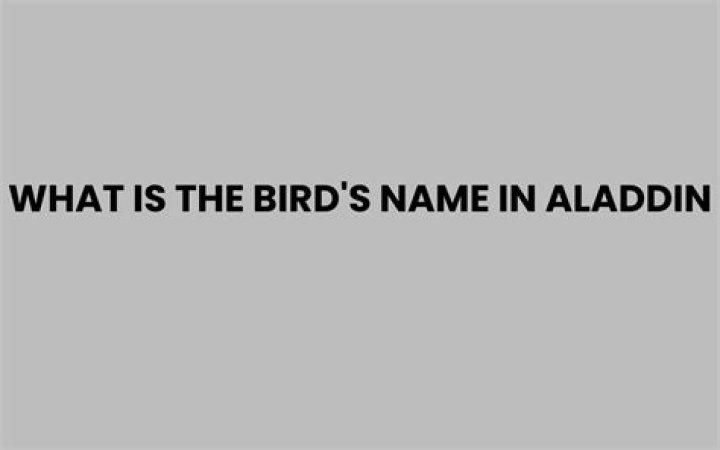 What is the bird’s name in Aladdin? – Celebrity
