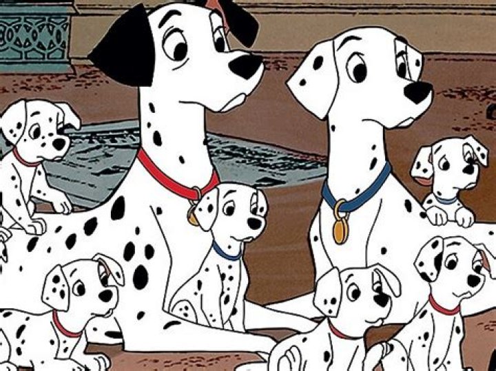 What is the fat Dalmatians name? – Celebrity