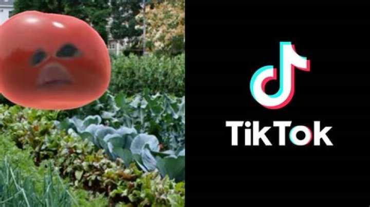 What is the ‘I’m a Potato’ sound? Viral TikTok audio explained