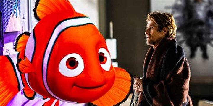 What kind of fish is Willem Dafoe in Finding Nemo? – Celebrity