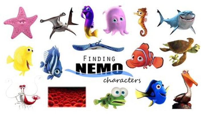 Who died in Finding Nemo? – Celebrity