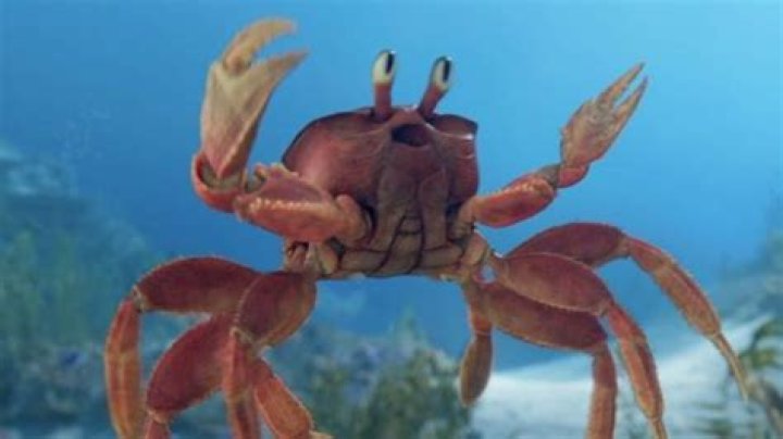 Who plays Sebastian in ‘The Little Mermaid’ and where have we seen him before?